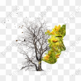 Double Exposure Tree, HD Png Download - dead tree png