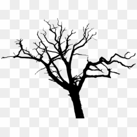 Simple Tree Silhouette Png, Transparent Png - dead tree png