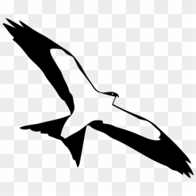 White Stork, HD Png Download - animal png