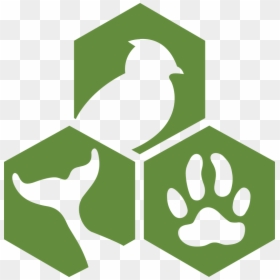 Animal Welfare Institute, HD Png Download - animal png