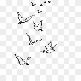 Cute Flying Bird Drawing, HD Png Download - birds flying png