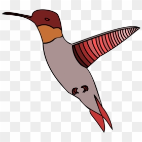 Ruby-throated Hummingbird, HD Png Download - birds flying png