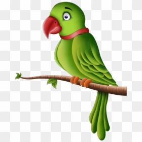 Cartoon Green Parrot Clipart, HD Png Download - parrot png