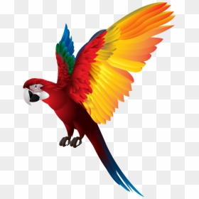 Birds Flying Png, Transparent Png - birds flying png