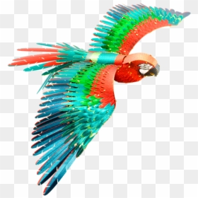Metal Earth Macaw, HD Png Download - parrot png