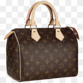 Louis Vuitton Speedy 25, HD Png Download - gucci png