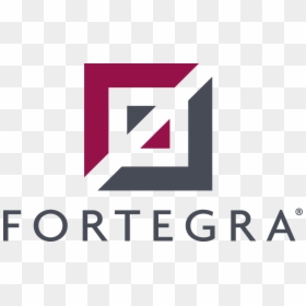 Fortegra Logo, HD Png Download - offer tag png
