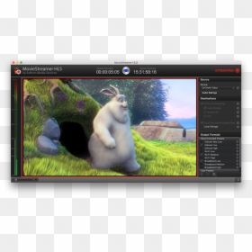 Transparent Streamer Png - Big Buck Bunny, Png Download - amazon video png