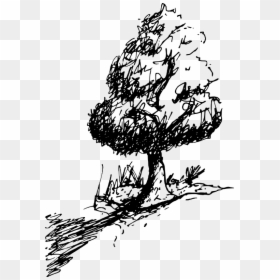 Tree - Illustration, HD Png Download - outdoors png