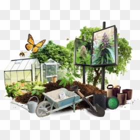 Growing Cannabis Outdoors, HD Png Download - outdoors png