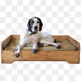 Handmade - Wooden - Dog Bed - Hunt And Wilson - Dog - Dog Yawns, HD Png Download - dog bed png