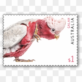 Australian Fauna Stamp Issue - Australian Postage Stamps 2019, HD Png Download - save the date stamp png