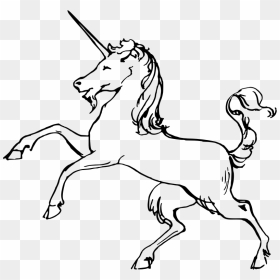 Unicorn - Unicorn Outline, HD Png Download - unicorn vector png