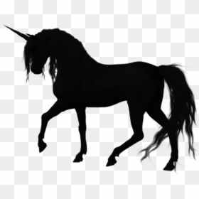 Silhouette American Quarter Horse Stallion Vector Graphics - Quarter Horse Images Silhouette, HD Png Download - unicorn vector png