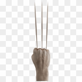 Wolverine Claws Png - Grass, Transparent Png - skeleton hands png