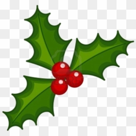 Holly Leaf X Christmas And Ivy Decorations Lights Card - Clip Art Holly Berry, HD Png Download - ivy leaf png