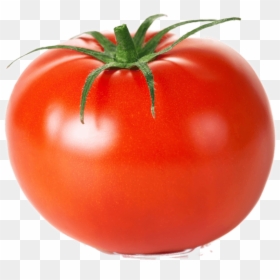 Regular Tomato, HD Png Download - ingredients png