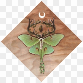 Ancestor Moth, HD Png Download - goat skull png