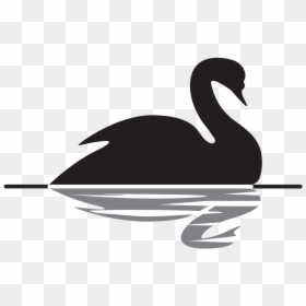 Black Swan Theory, HD Png Download - swan silhouette png