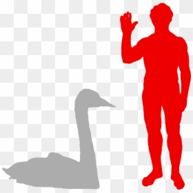 Biggest Owl Compared To Human, HD Png Download - swan silhouette png