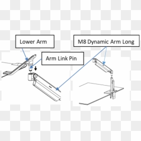 Diagram, HD Png Download - human scale png