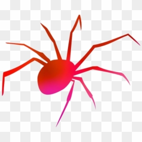 Colorful Spider Silhouette Transparent Background - Spider Clipart Transparent Background, HD Png Download - spider silhouette png