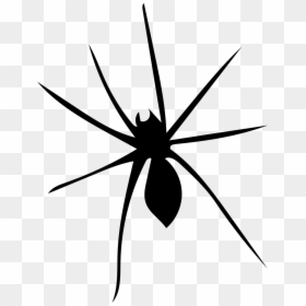 Spider Arachnophobia Arachnid Free Photo - Widow Spider, HD Png Download - spider silhouette png