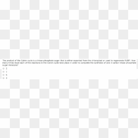 Screenshot, HD Png Download - chloroplast png