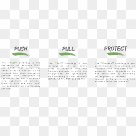 Document, HD Png Download - chloroplast png