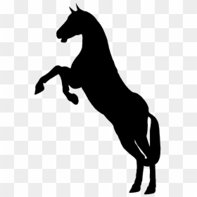 Silhouette Animal Horse - White Horse Silhouette Png, Transparent Png - cowgirl silhouette png