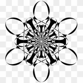 Line Art,flora,symmetry - Circle, HD Png Download - golden spiral png