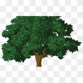Woodland Daily Democrat - Tree With Roots, HD Png Download - age icon png