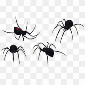 Spider Clipart Tribal - Black Widow Spider Pics Black And White, HD Png Download - spider clipart png