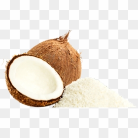 Yuca, HD Png Download - yuca png