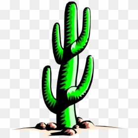 Collection Of Free Cactus Vector Saguaro Download On - Cactus, HD Png Download - cartoon cactus png