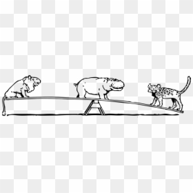 Animals, Seesaw, See, Saw, Balance, Lion, Hippo - Animals On A Seesaw, HD Png Download - seesaw png