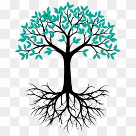 Tree Root Vector Png , Transparent Cartoons - Plant Drawing With Roots, Png Download - tree branch vector png