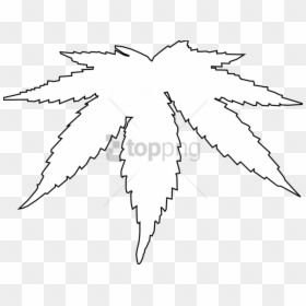 Real Weed Leaf Png, Transparent Png - palm leaf vector png