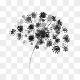 Black And White Watercolor Painting Flower Graphic - Watercolor Black And White Flower, HD Png Download - flower graphic png