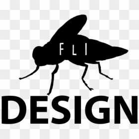 Federal University Of Juiz De Fora, HD Png Download - mosquito silhouette png