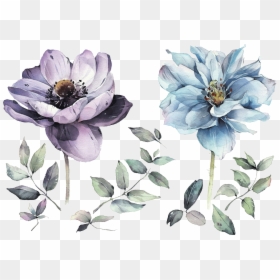 Watercolour Watercolor Flowers Painting Drawing Watercolor - Watercolour Flower Anemone, HD Png Download - watercolor clipart png