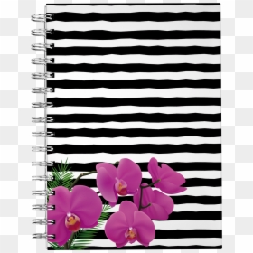 Moth Orchid, HD Png Download - orquideas png
