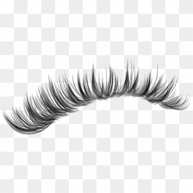 #lashes #makeup #lash #eyelashes #eyeliner #fakelashes - Eyelash, HD Png Download - fake eyelashes png