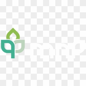 Mnp Flowers - Illustration, HD Png Download - dead flower png