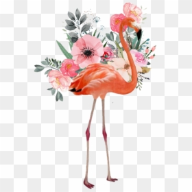 #flamenco - Flamingo Pink With Flowers, HD Png Download - flamenco png