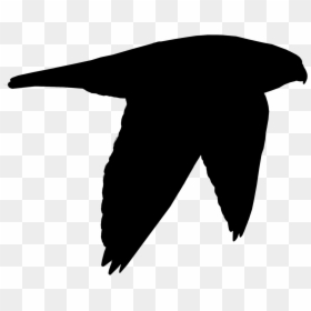Beak Clip Art Black Bird Silhouette - Illustration, HD Png Download - wings silhouette png