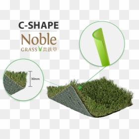 Lawn, HD Png Download - grass blade png
