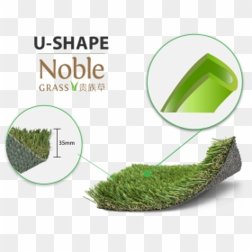 Pine, HD Png Download - grass blade png