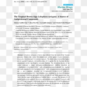 Document, HD Png Download - moño rosa png