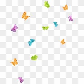 Transparent Butterflies Png Transparent, Png Download - buterfly png